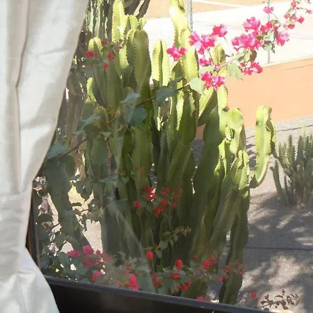 Family 1 Bedroom 3 - Oasis Duna * Κοραλέχο